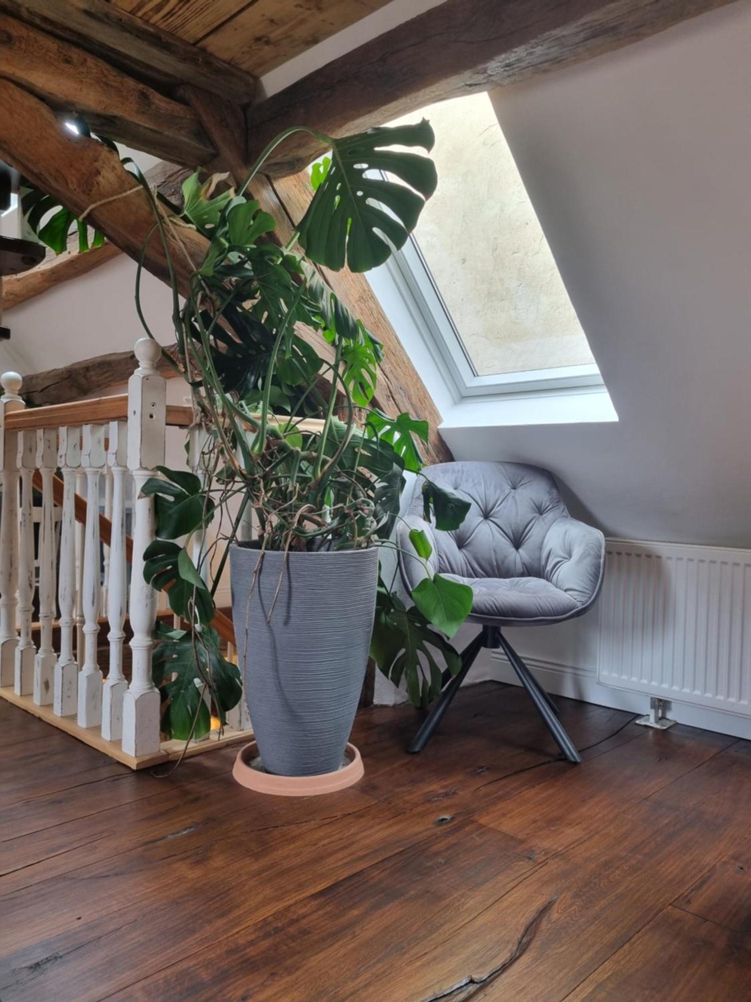 Nachtwaechterhaeuschen Mit Sauna Blieskastel Exterior foto